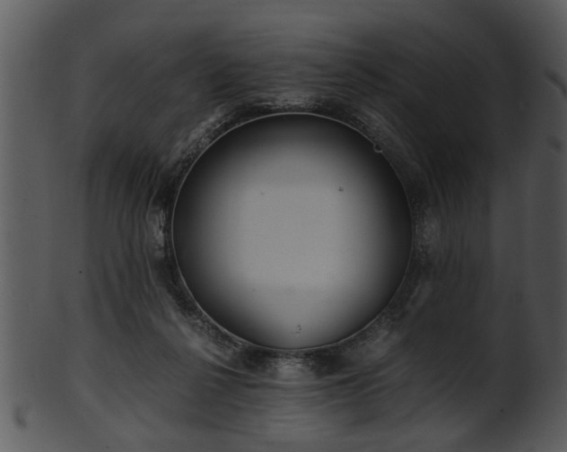 X0000101410264200807141138