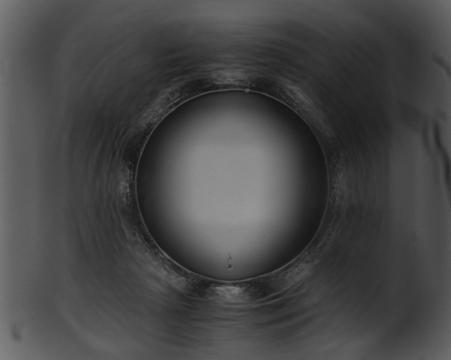 X0000101410265200807141138