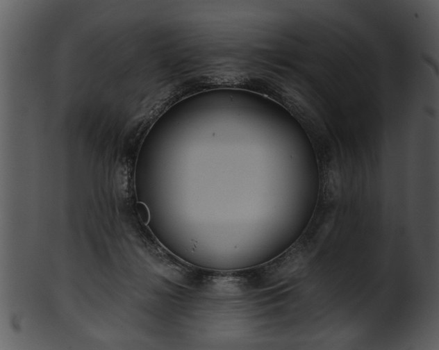 X0000101410268200807141138
