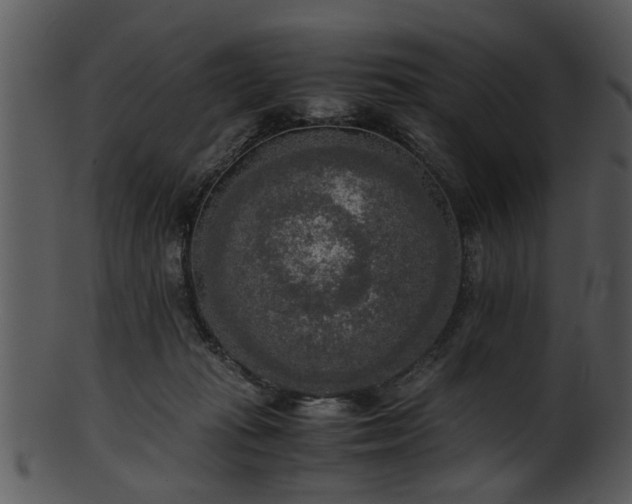 X0000101410269200807141138