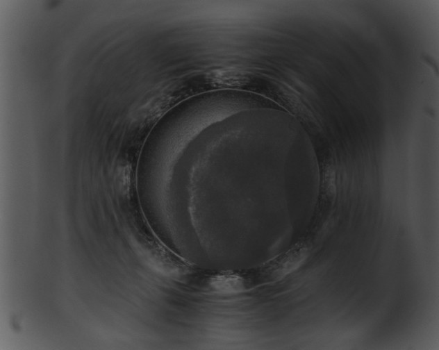 X0000101410271200807141138