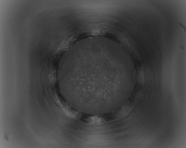 X0000101410272200807141138