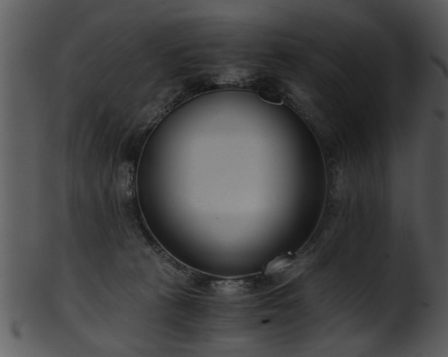 X0000101410273200807141138