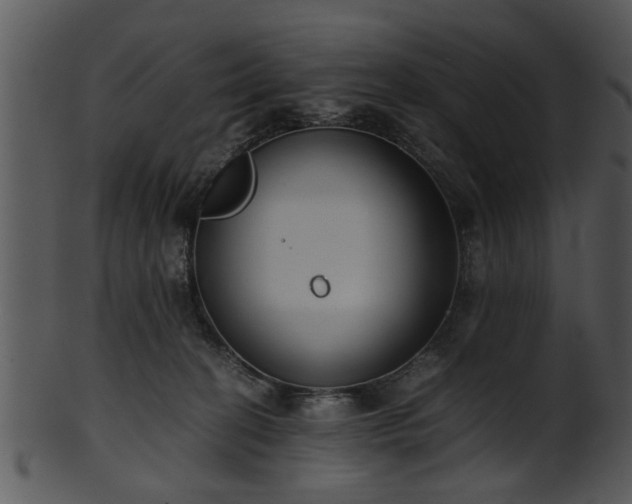 X0000101410274200807141138