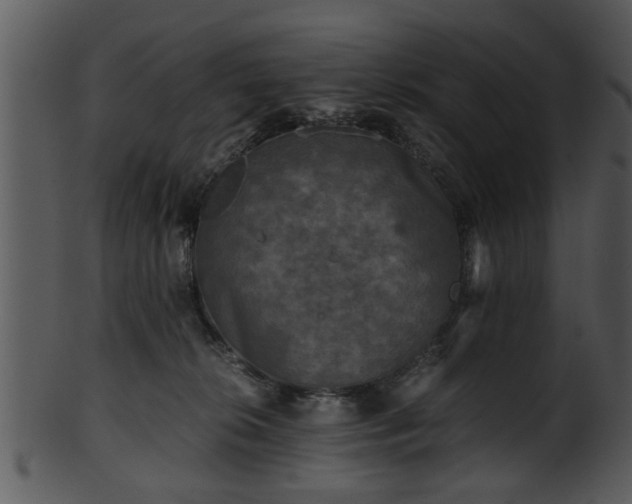 X0000101410276200807141138