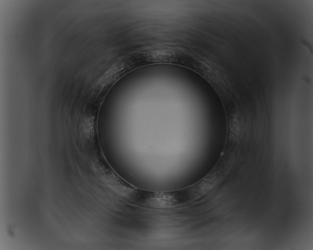 X0000101410278200807141138