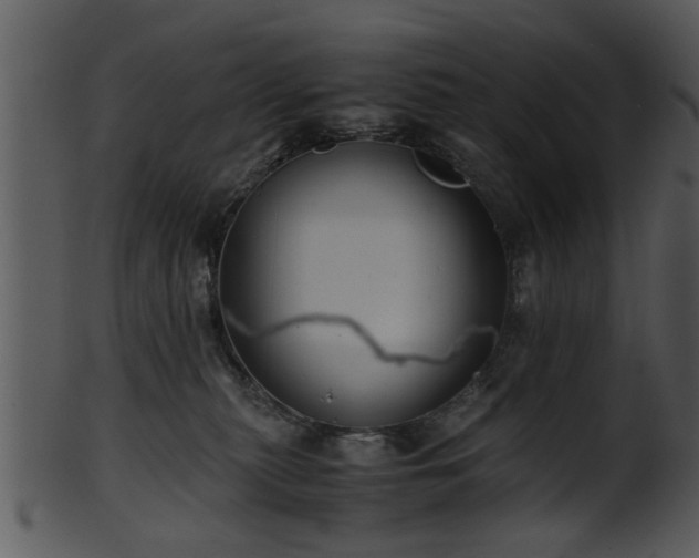 X0000101410279200807141138