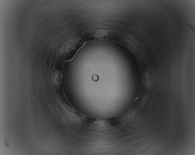 X0000101410280200807141138