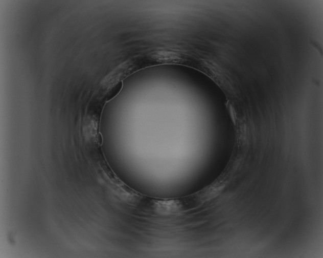 X0000101410281200807141138