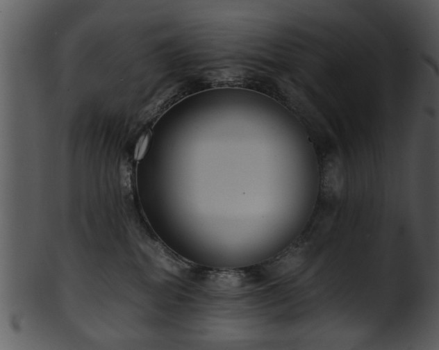 X0000101410282200807141138