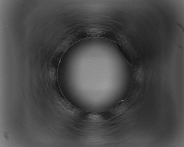 X0000101410283200807141138