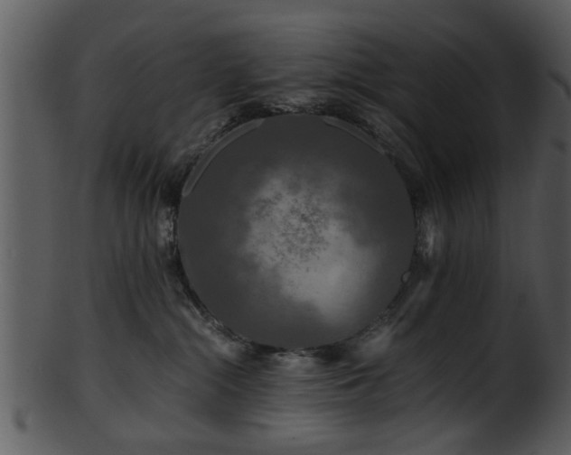 X0000101410284200807141138