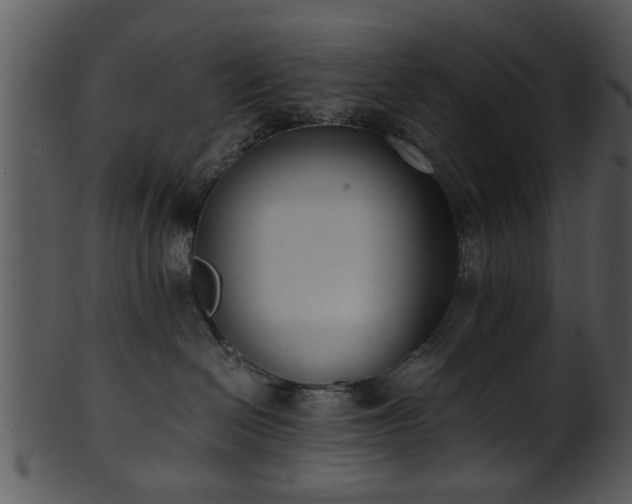 X0000101410286200807141138