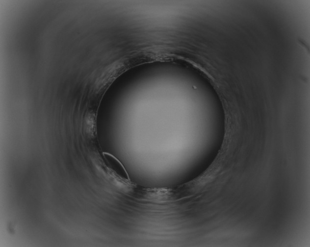 X0000101410288200807141138