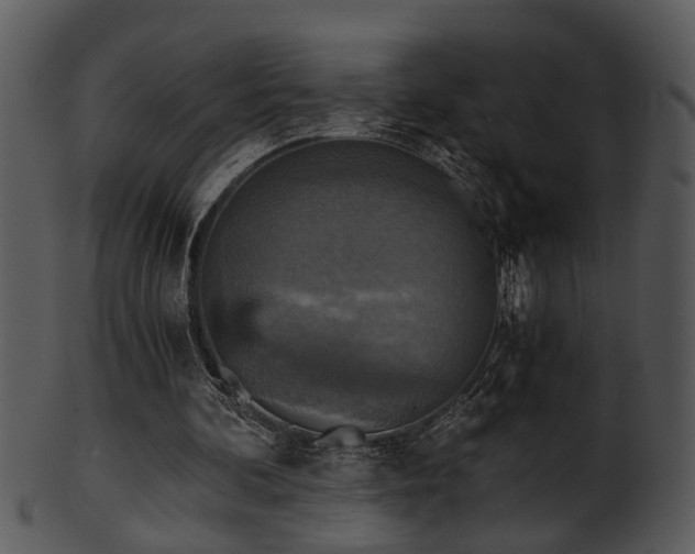 X0000101410292200807141137