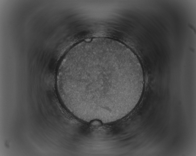 X0000101410297200807141137