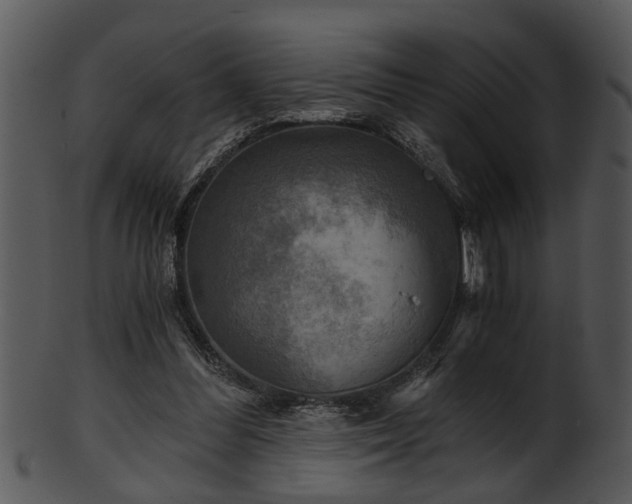 X0000101410300200807141137