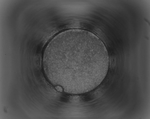 X0000101410301200807141137