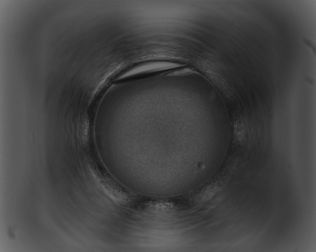 X0000101410304200807141137