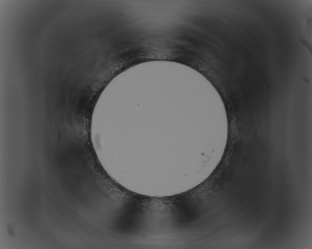 X0000101410305200807141137