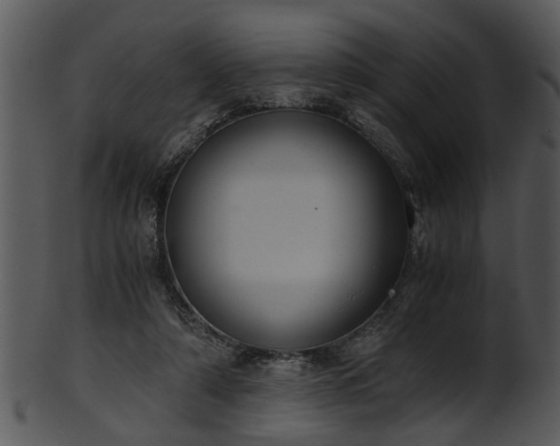 X0000101410306200807141137