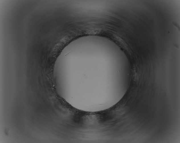 X0000101410307200807141137