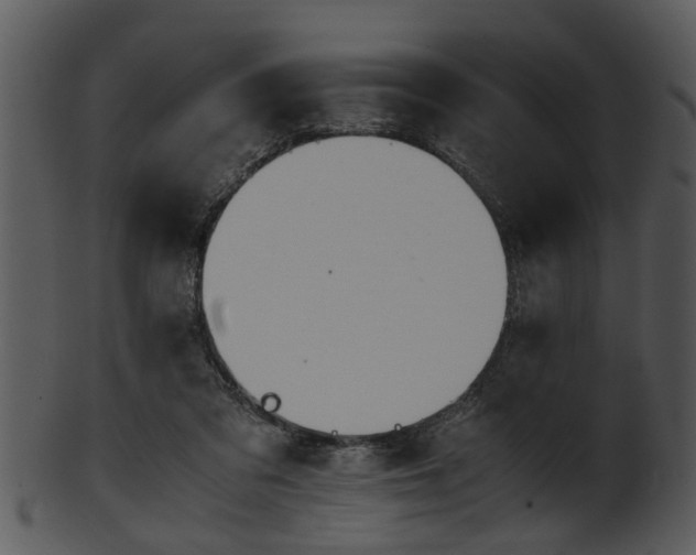 X0000101410309200807141137