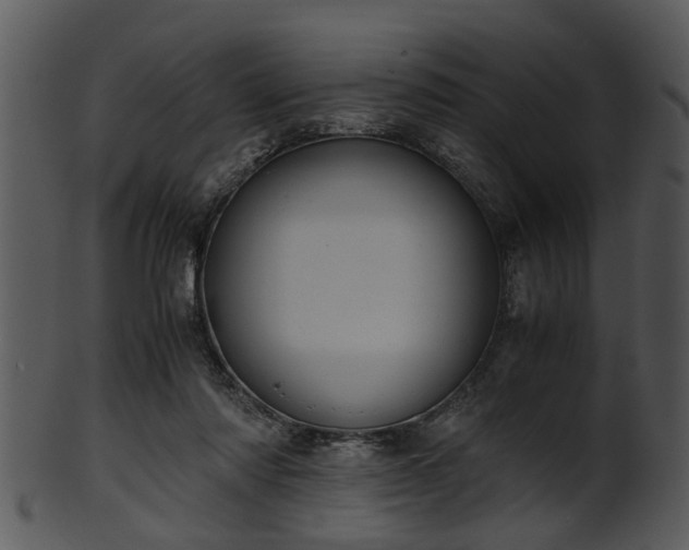 X0000101410310200807141137