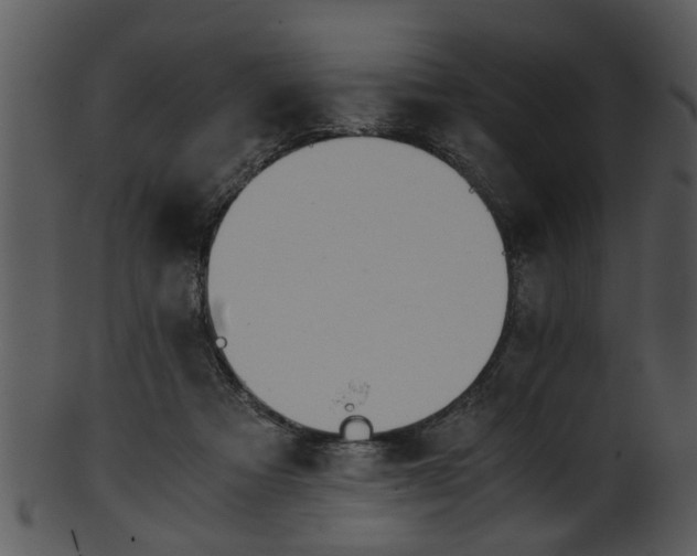 X0000101410313200807141137