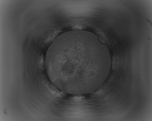 X0000101410314200807141137