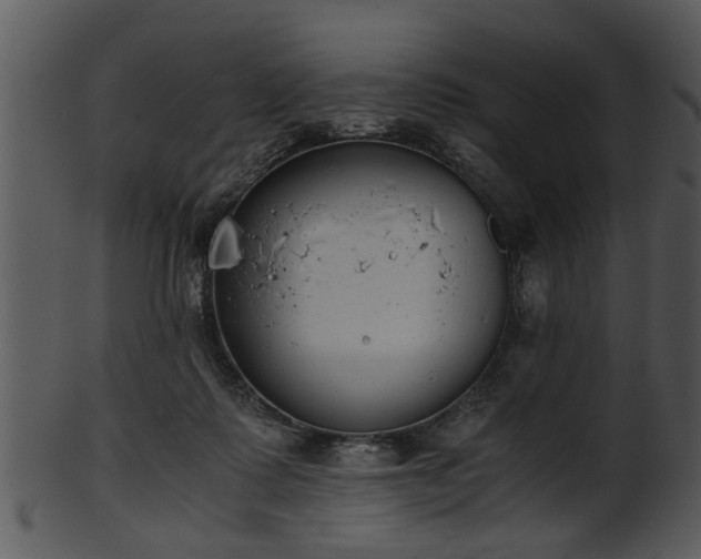 X0000101410315200807141137