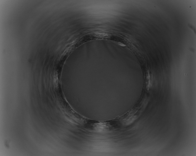 X0000101410320200807141137