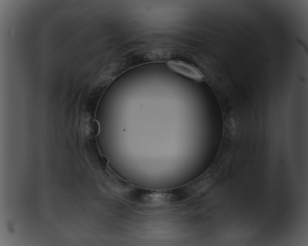 X0000101410323200807141137