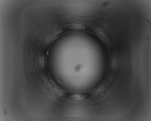 X0000101410326200807141137