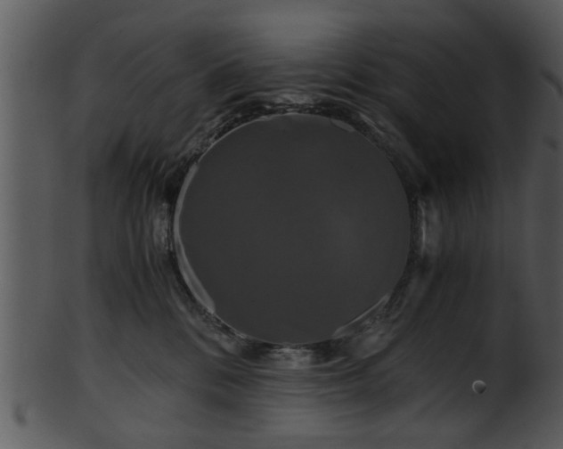 X0000101410328200807141137