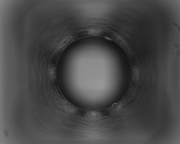 X0000101410329200807141137