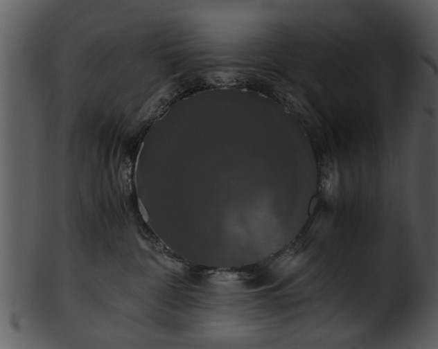 X0000101410332200807141137