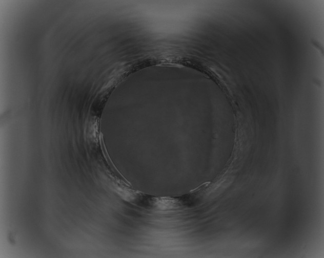 X0000101410336200807141137