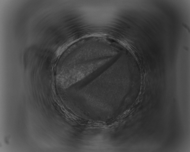 X0000101410337200807141136