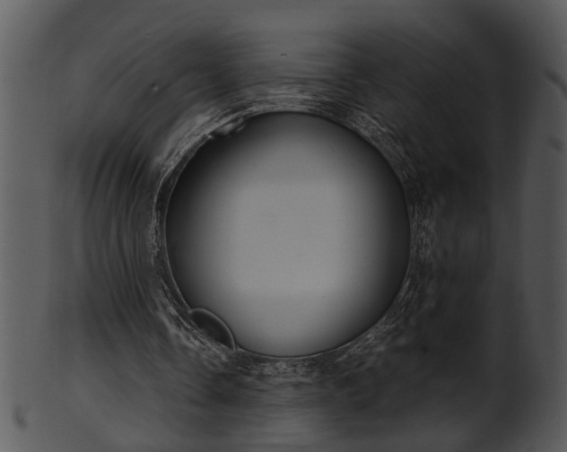 X0000101410338200807141136