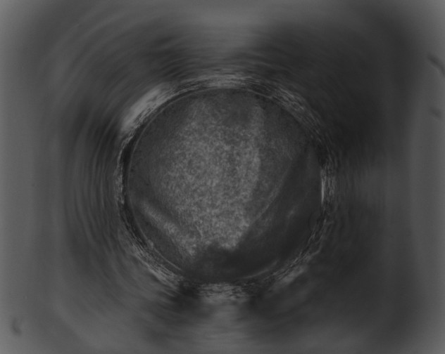 X0000101410339200807141136