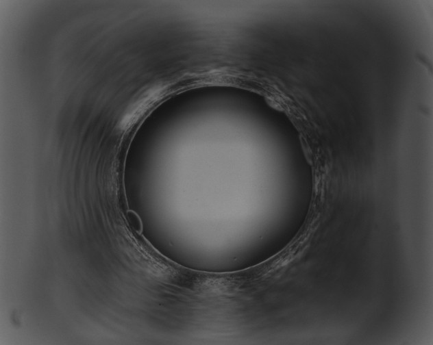 X0000101410341200807141136