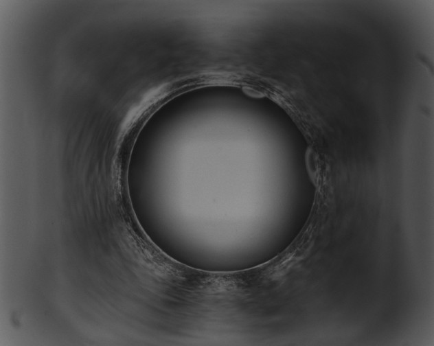 X0000101410343200807141136