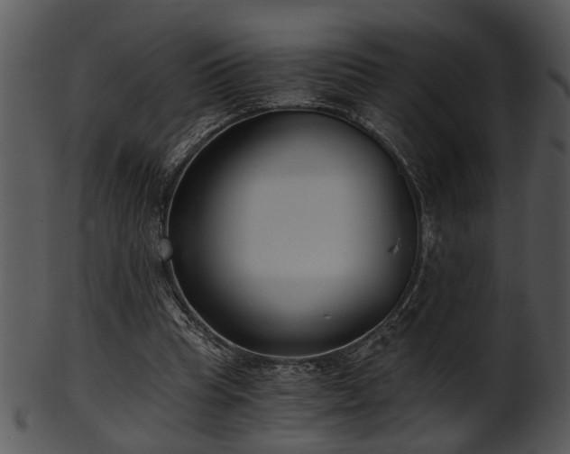 X0000101410345200807141136