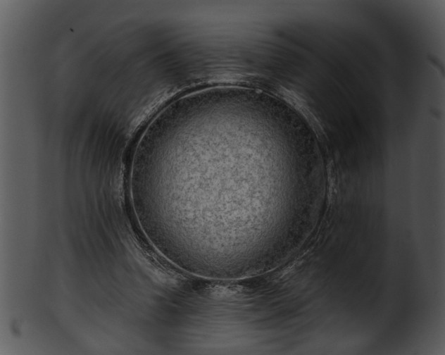 X0000101410346200807141136