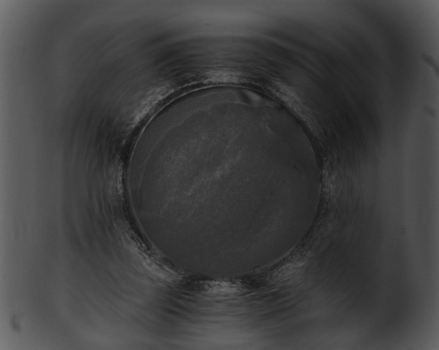 X0000101410347200807141136