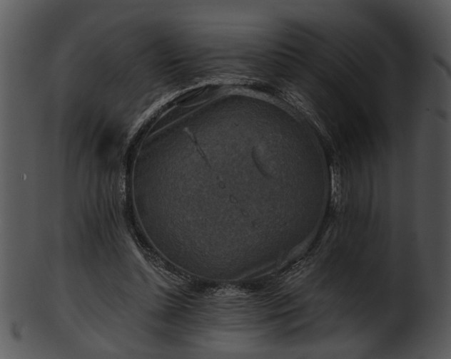 X0000101410348200807141136