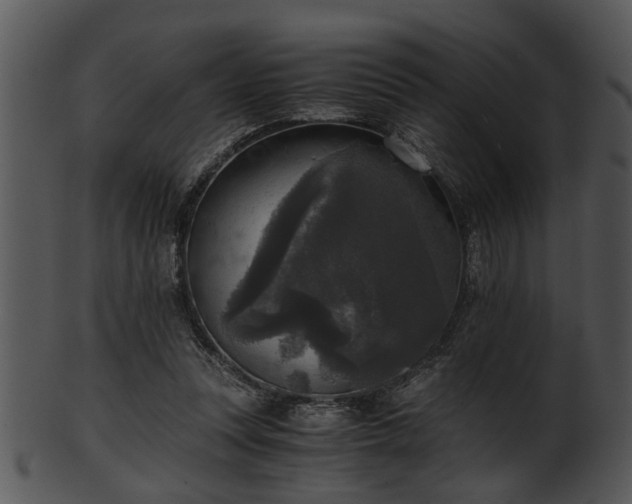 X0000101410351200807141136