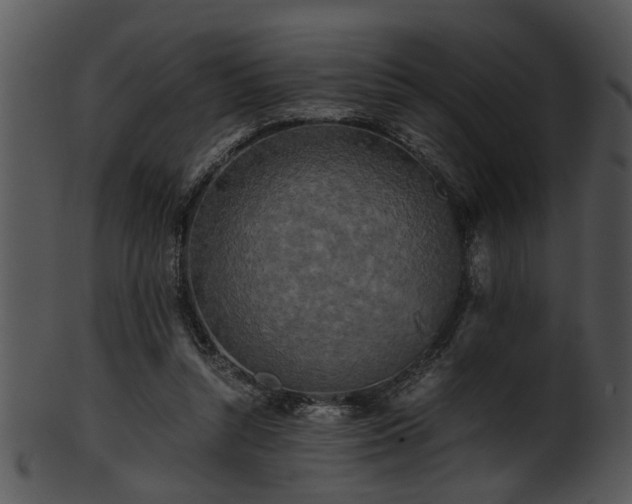 X0000101410352200807141136