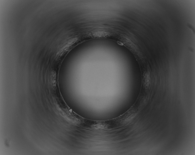 X0000101410356200807141136